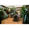 Amber Mexican Travertine Flooring