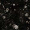 Pietra Di Erfoud marble
