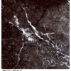Grigio Carnico Marble