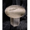 Fossil Stone Counter & Table Tops