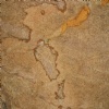 Copper Canyon