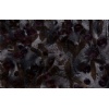 Meteorus Granite