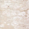 Perlato Olimpo Marble