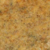 Capricorn Gold
