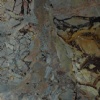 Sarancolin Marble
