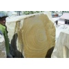 Wonderwood Quartzite