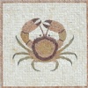 Crab