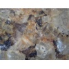 Tropic Brown Granite