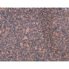 Baltic Brown granite