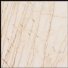 Golden Spider Marble