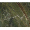 Rainforest Green Marble