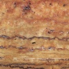 Travertino Oro