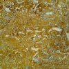Thala Jaune Limestone