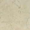 Crema Novita (shown with a honed surface finish)