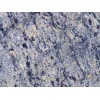 Orissa Blue
