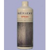 Spaak Polisher for Slate