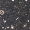Fossil Brown - Fossil Marron Limestone