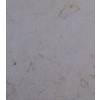 Jerusalem White - Rose (Special Offer)