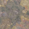 Peacock Slate