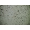 Gray Peacock Marble