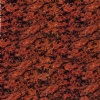 Vanga Red