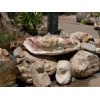 Bird baths, Fountains