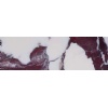 Breccia Capraia