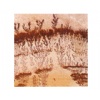 Gwalior Fossil Sandstone