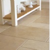 Seashell Limestone Tiles