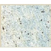 Kashmir White Granite