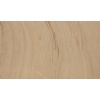 Phalodi Sandstone