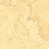 Ramon Yellow Limestone