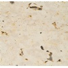 Piedra Coralina