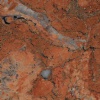 Duchessa Rosada