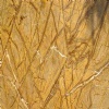 Rainforest Gold Marble