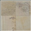 Fossil Sandstone