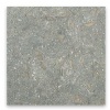 Rustic Green Fossil