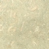 Seagrass Limestone