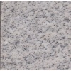 China White Granite Shandong White