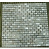 freshwater shell mosaic