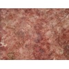 Red travertine