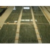 Green Jadeite slab