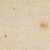 Leistadter Sandstone