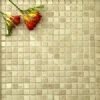 Travertine Mosaic Wall and Floor Tiles