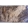 Magma Gold Granite Slabs