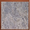 Kashmir White