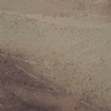 Wild Sea - Cabernet- Single