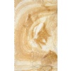 Gneiss Exclusive
