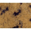 Lapidus Gold