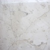 Beige Maya Limestone